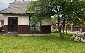 Карпатська тиша